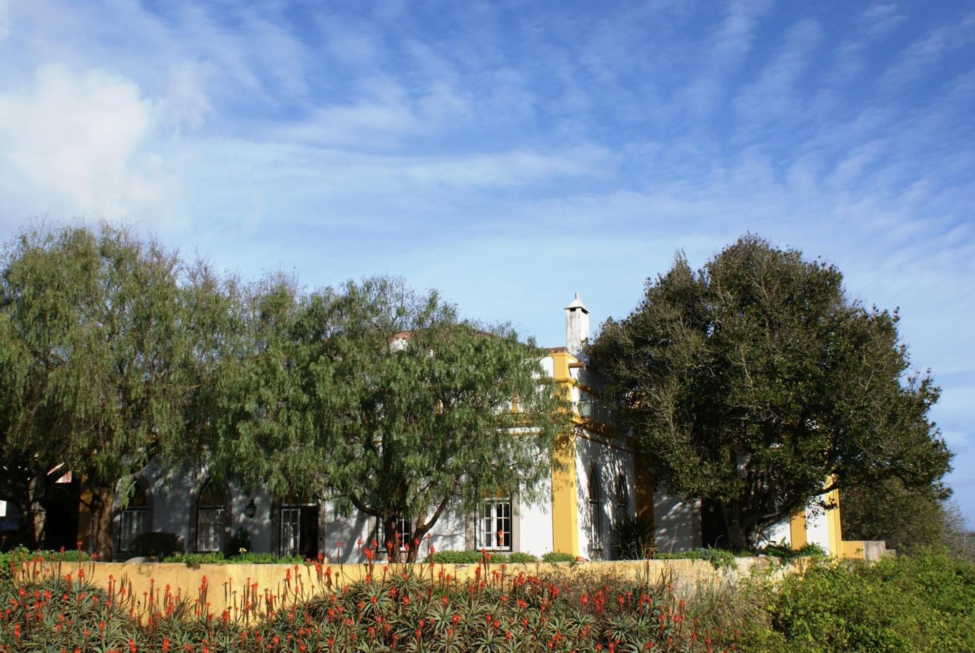 Casa Do Castelo - Turismo De Habitacao Bed and Breakfast Atouguia Da Baleia Buitenkant foto