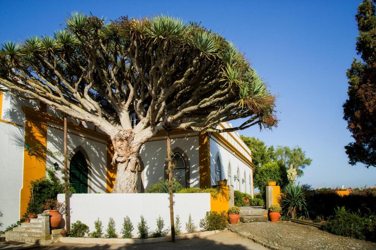 Casa Do Castelo - Turismo De Habitacao Bed and Breakfast Atouguia Da Baleia Buitenkant foto